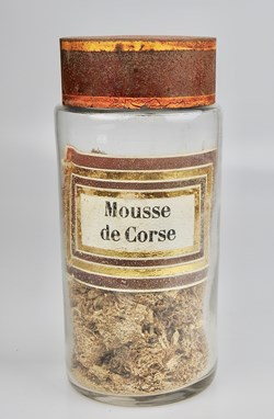 Flacon en verre Herboristerie grand modèle Pharmacie RAVASSE