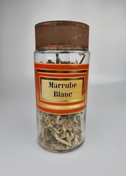 Flacon en verre Herboristerie grand modèle Pharmacie RAVASSE