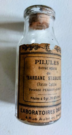 BARDANE STABILISÉE( Pilules)