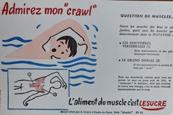 Le SUCRE Aliment du muscle - Série Muscles N° 10 ( Natation )