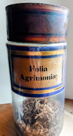 Folia Agrimoniae Flacon Herboristerie Grand modèle