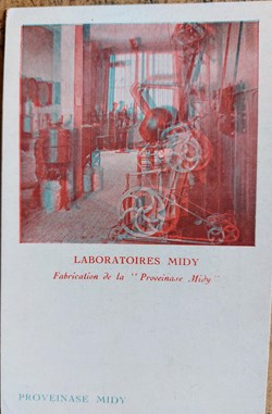 MIDY Photographie Fabrication de Proveinase