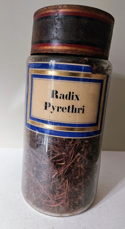 Flacon Herboristerie Radix Pyrethri