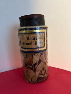 Radix Arund: Don: