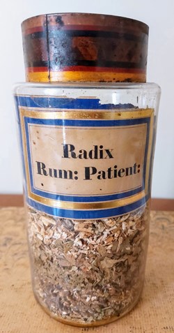 Pot de Pharmacie "Radix Rum : Patient :"
