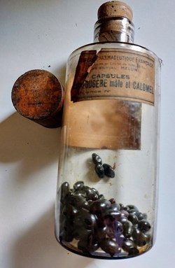 Capsules Extrait de Fougère mâle et Calomel