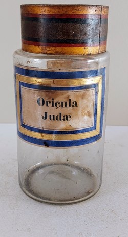 Oricula Judae