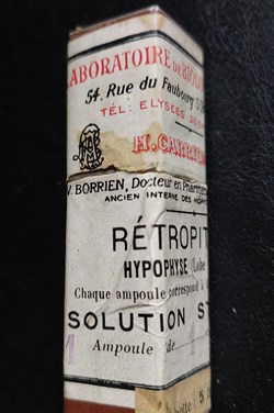 RETROPITUINE ( ampoule)