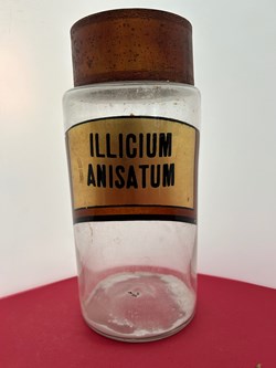 ILLICIUM ANISATUM