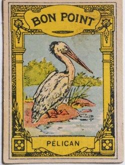 Bon Point JACQUEMAIRE - Le Pélican