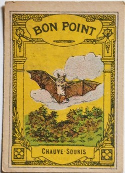Bon Point JACQUEMAIRE - La Chauve-souris