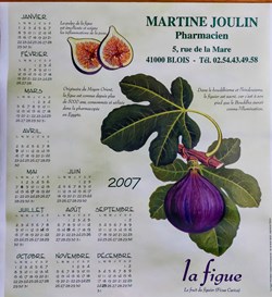 CALENDRIER 2007 _ Figue