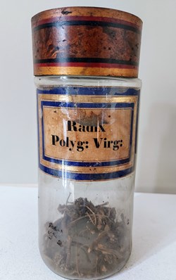 Flacon Herboristerie " Radix Polyg: Virg :"