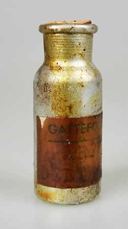 GATTEFOSSE S.F.P.A.