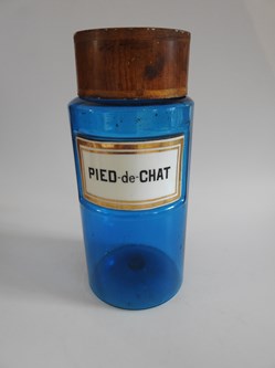 PIED de CHAT Herbo