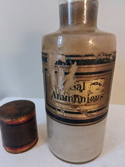SAL AMMONICUS