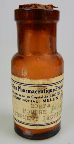 POUDRE DE FERMENT LACTIQUE