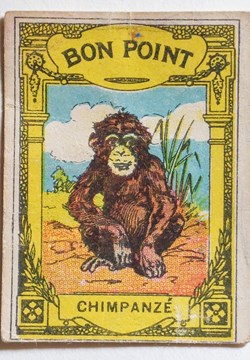Bon Point JACQUEMAIRE - Le Chimpanzé