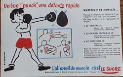 Le SUCRE Aliment du muscle - Série Muscles N° 9 ( Boxe )