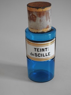 TEINT : de SCILLE PM