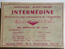 INTERMÉDINE 6 Ampoules injectables Choay