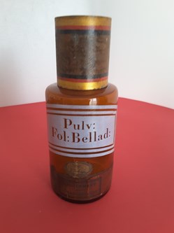 Pulvis Belladonæ ou Pulv: Fol: Bellad: