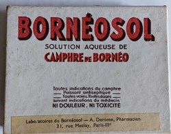 BORNÉOSOL ( Ampoules)