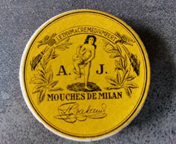 MOUCHES DE MILAN 1