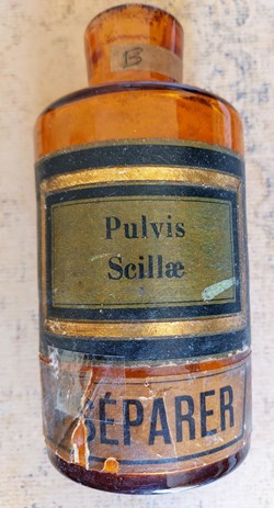 Flacon de Pharmacie en verre ambré Pulvis Scillae