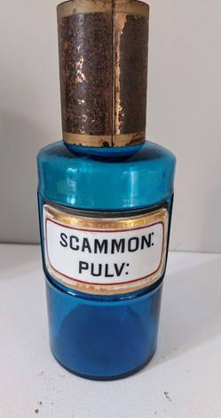 Bleu / étiq. porcelaine / SCAMMON:PULV: