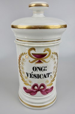 ONG: VESICAT: