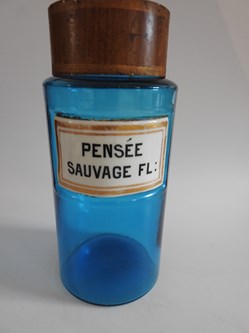 PENSÉE SAUVAGE FL. Herbo
