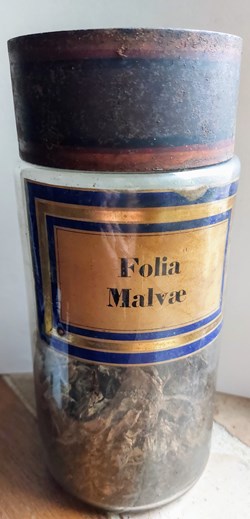 Folia Malvae Flacon en verre Herboristerie grand modèle