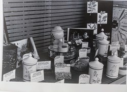Photo d'une vitrine de Pharmacie 1966