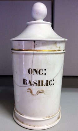 ONG:BASILIC
