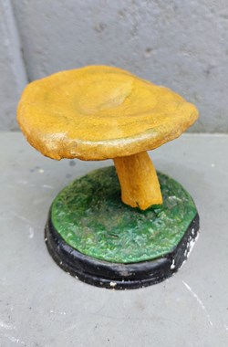 LACTARIUS Deliciosus