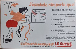 Le SUCRE Aliment du muscle - Série Muscles N° 8 ( Escalade )
