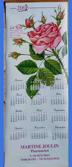 CALENDRIER 2002 _ Rose
