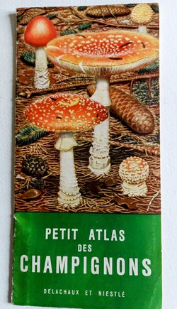Petit ATLAS des CHAMPIGNONS