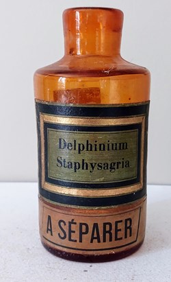Étiquette Verte - Delphinium Staphysagria