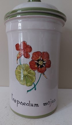 Pot de Pharmacie " KLORANE" Tropaeolum majus