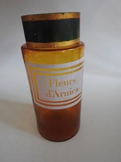 Fleurs d'ARNICA