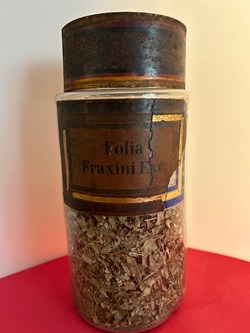 Folia Fraxini Exc: