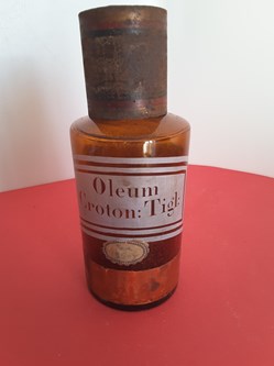 Oleum Crotonis Tigl : ou Oleum Croton : Tigl :