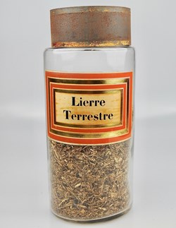 Flacon en verre Herboristerie très grand modèle Pharmacie RAVASSE