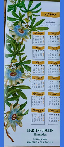CALENDRIER 1999 _ Passiflore