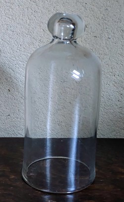 Cloche en verre Hauteur 18.5 cm