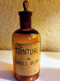 Teinture de Saule Blanc Flacon 11.5 verre ambré