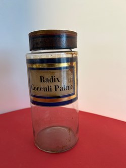 Radix Cocculi Palm: