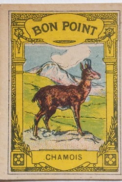 Bon Point JACQUEMAIRE - Le Chamois